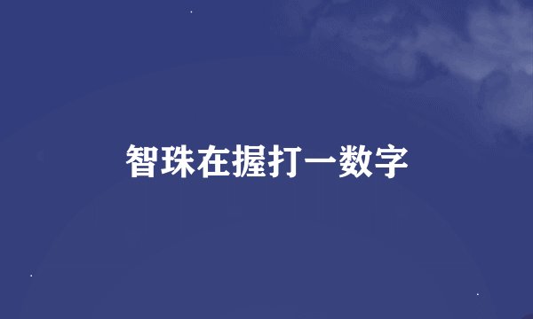 智珠在握打一数字