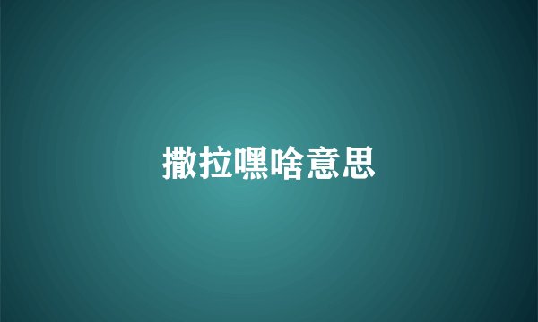 撒拉嘿啥意思