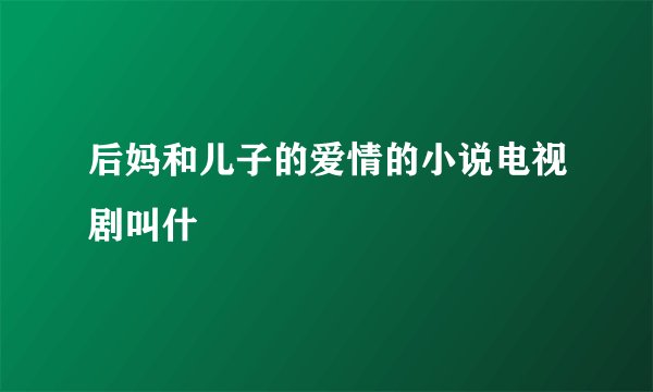 后妈和儿子的爱情的小说电视剧叫什