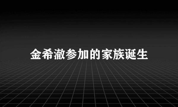 金希澈参加的家族诞生