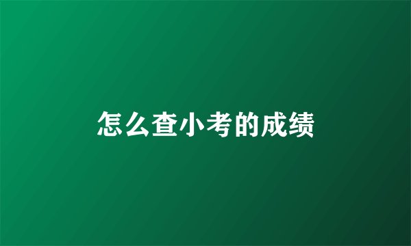 怎么查小考的成绩