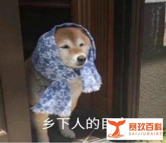 办公室小野回应女孩自制爆米花去世：愿提供帮助并配合调查