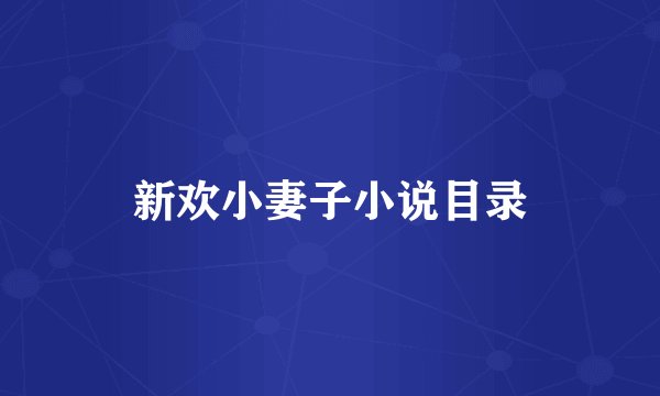 新欢小妻子小说目录