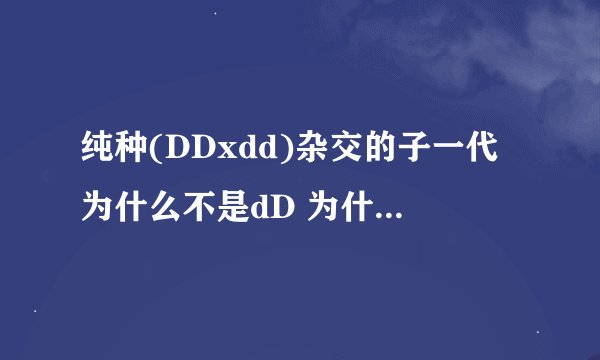 纯种(DDxdd)杂交的子一代为什么不是dD 为什么不能这么算?