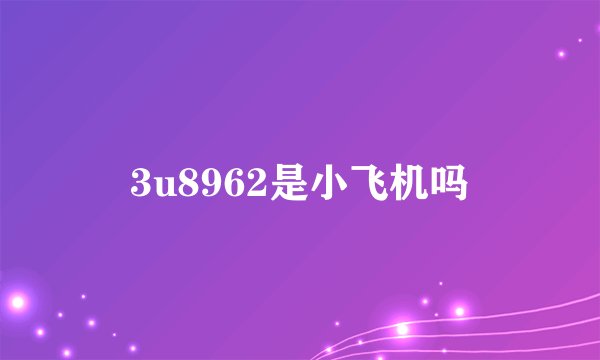 3u8962是小飞机吗