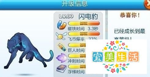 天天酷跑闪电豹和雷焰狮王哪个好？