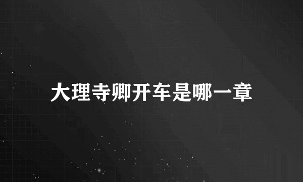 大理寺卿开车是哪一章