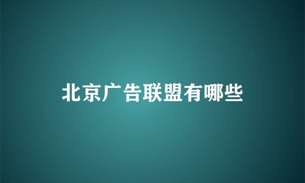 北京广告联盟有哪些