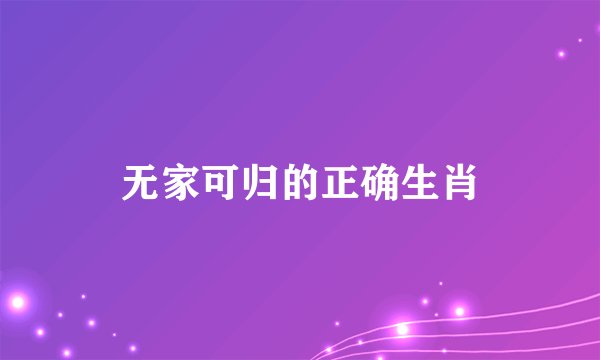 无家可归的正确生肖