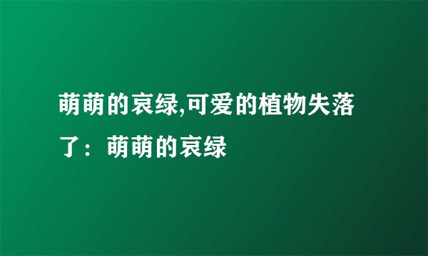 萌萌的哀绿,可爱的植物失落了：萌萌的哀绿
