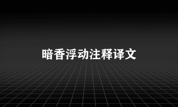 暗香浮动注释译文