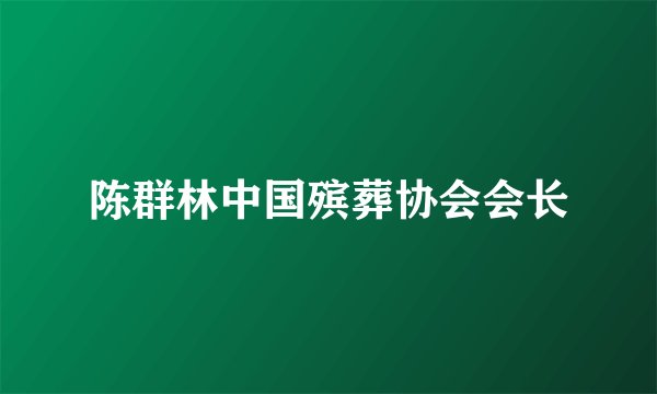 陈群林中国殡葬协会会长