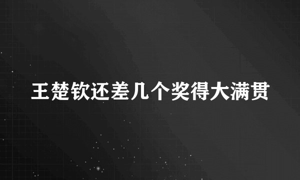 王楚钦还差几个奖得大满贯