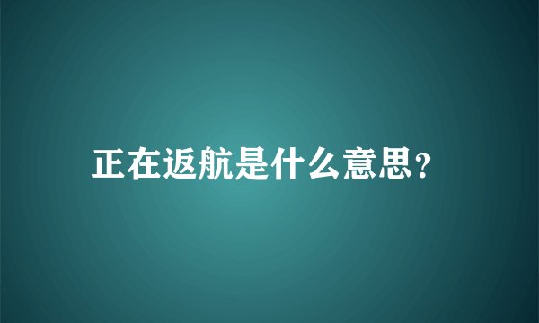 正在返航是什么意思？