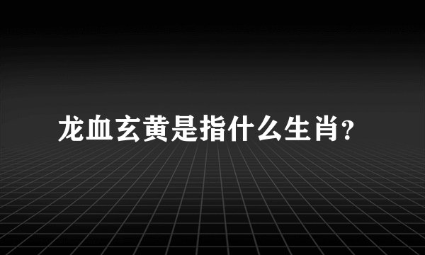 龙血玄黄是指什么生肖？