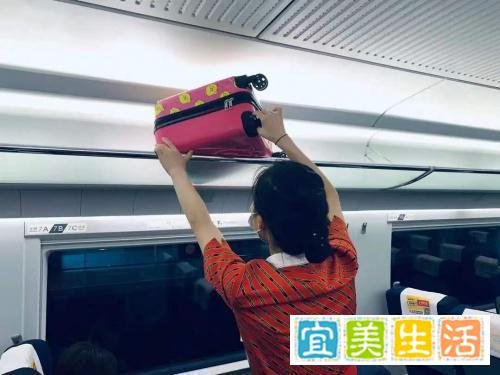 坐高铁被行李架上的物品砸伤,责任在谁?