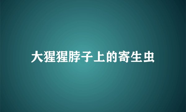 大猩猩脖子上的寄生虫