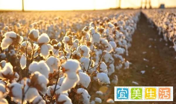 大量外贸厂商收到