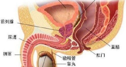 马眼是什么东西？