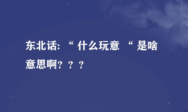 东北话: “ 什么玩意 “ 是啥意思啊？？？