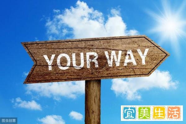 总结2019,展望2020