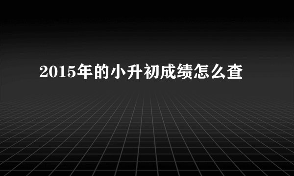 2015年的小升初成绩怎么查
