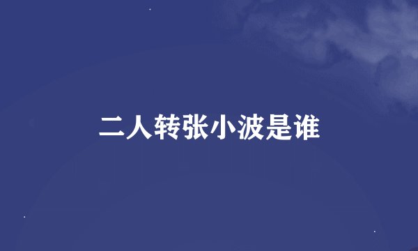 二人转张小波是谁
