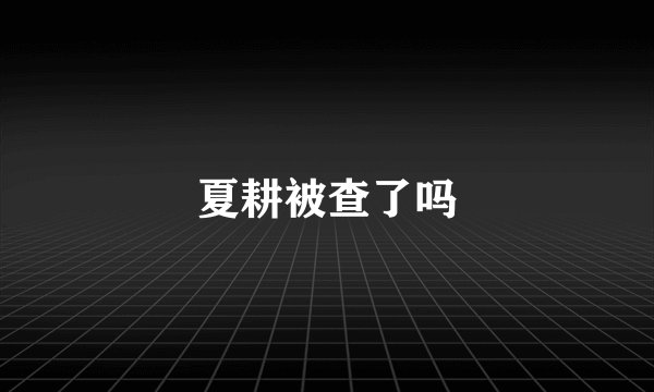 夏耕被查了吗