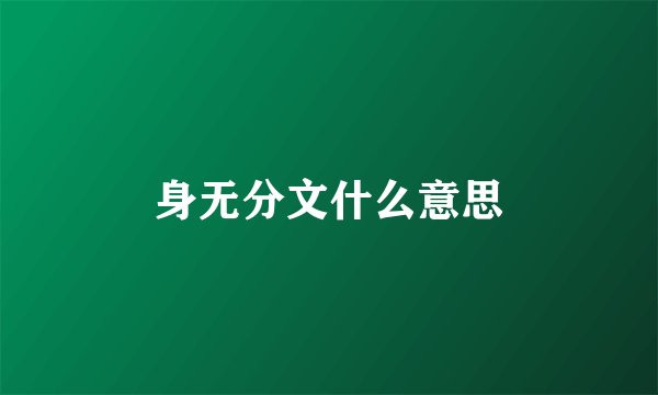 身无分文什么意思