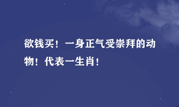 欲钱买！一身正气受崇拜的动物！代表一生肖！