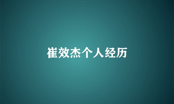 崔效杰个人经历