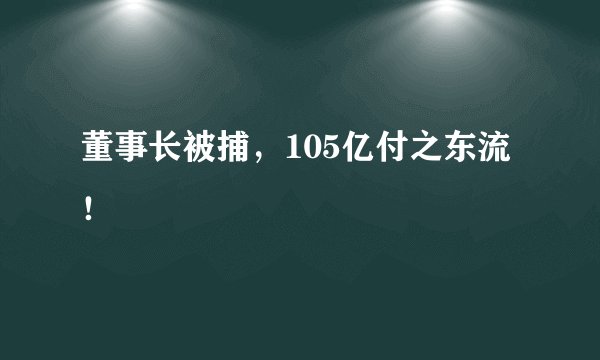 董事长被捕，105亿付之东流！