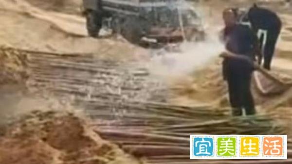 50元1车,林场主“跪地求供水”协商无果,只好自掏腰包买水