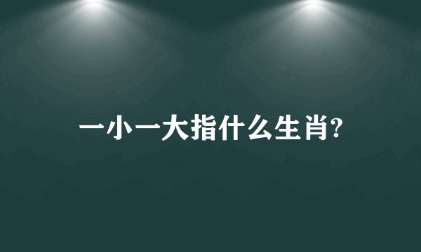 一小一大指什么生肖?