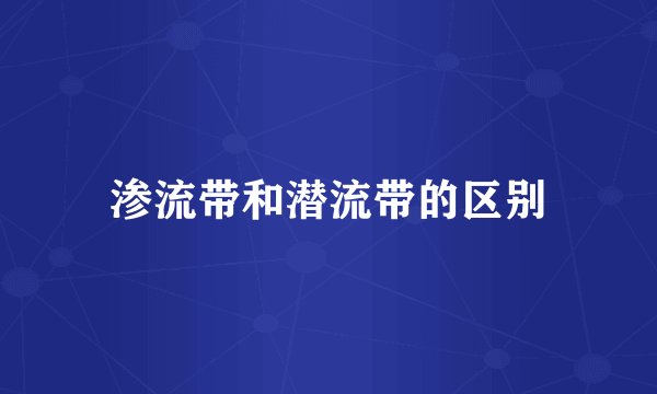 渗流带和潜流带的区别