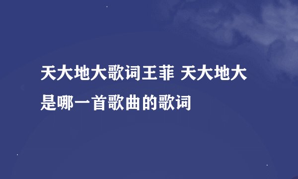 天大地大歌词王菲 天大地大是哪一首歌曲的歌词