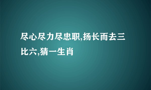尽心尽力尽忠职,扬长而去三比六,猜一生肖