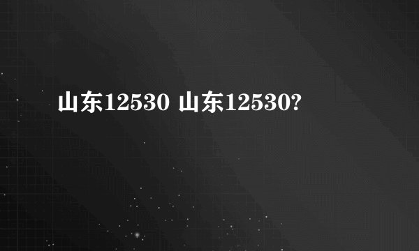 山东12530 山东12530?