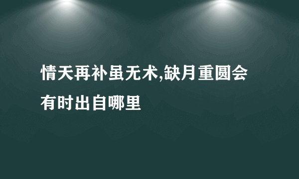 情天再补虽无术,缺月重圆会有时出自哪里