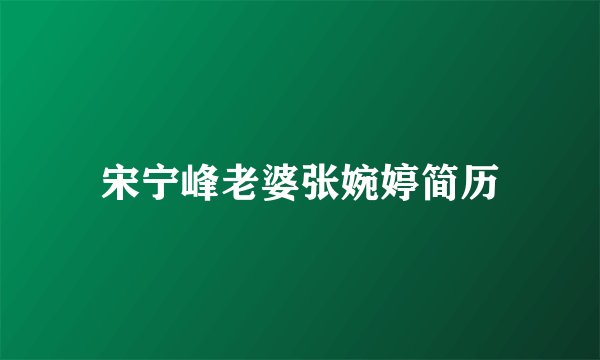 宋宁峰老婆张婉婷简历