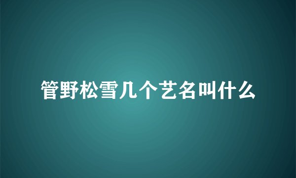 管野松雪几个艺名叫什么