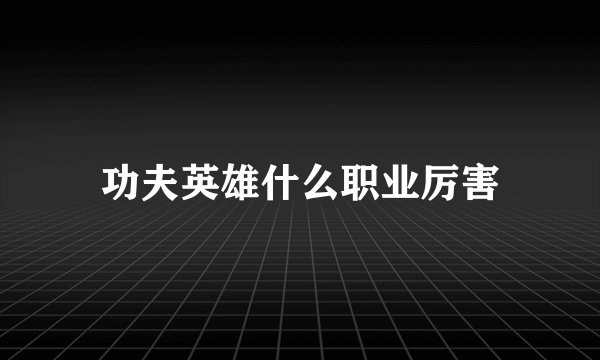 功夫英雄什么职业厉害