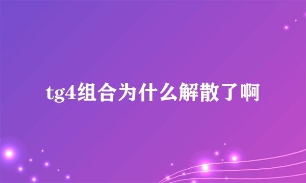 tg4组合为什么解散了啊