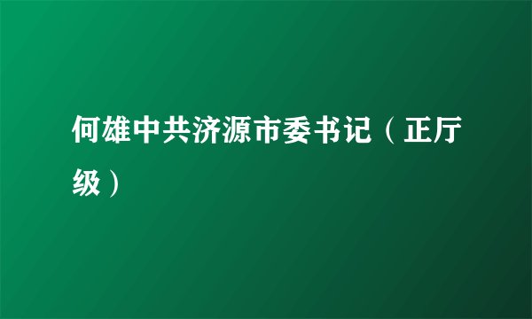 何雄中共济源市委书记（正厅级）