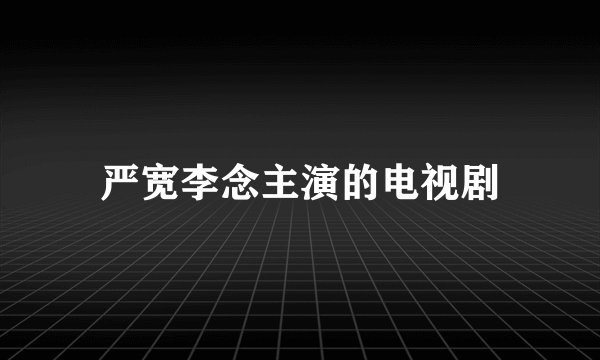严宽李念主演的电视剧