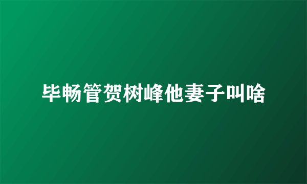 毕畅管贺树峰他妻子叫啥