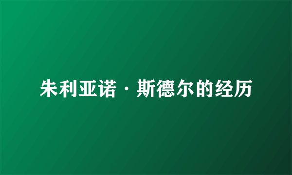 朱利亚诺·斯德尔的经历