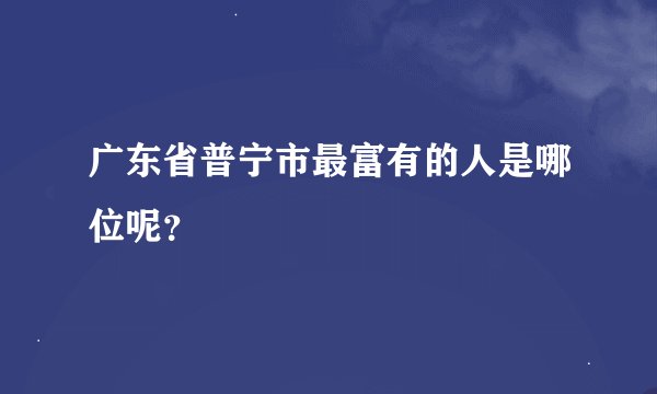 广东省普宁市最富有的人是哪位呢？