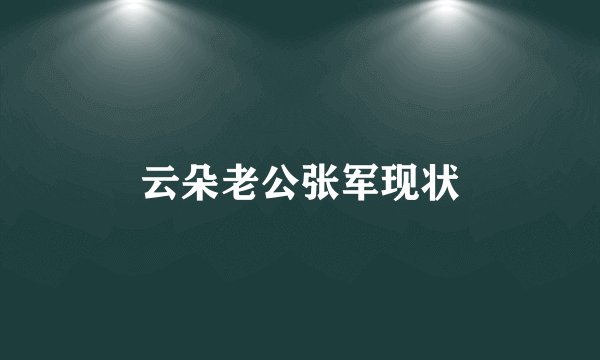 云朵老公张军现状