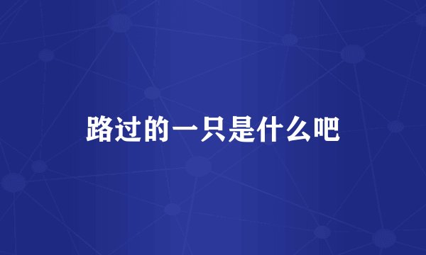 路过的一只是什么吧